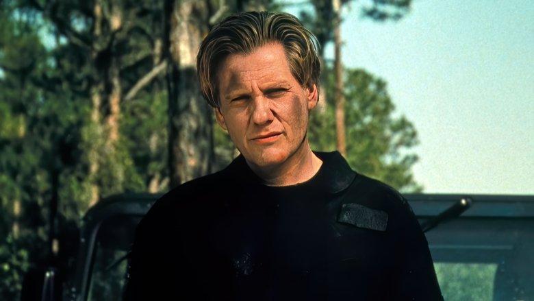 The Librarians image