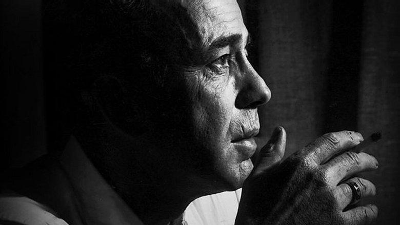 The Rules of Film Noir image