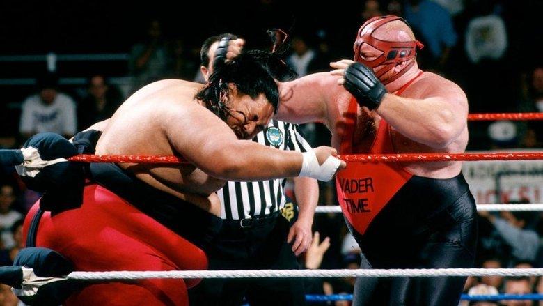 WWE In Your House 8: Beware of Dog image