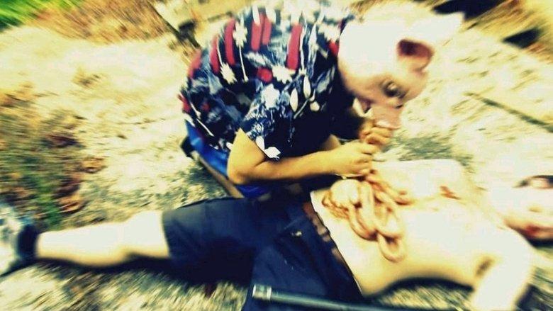Attack of the Pig-Zombies! image