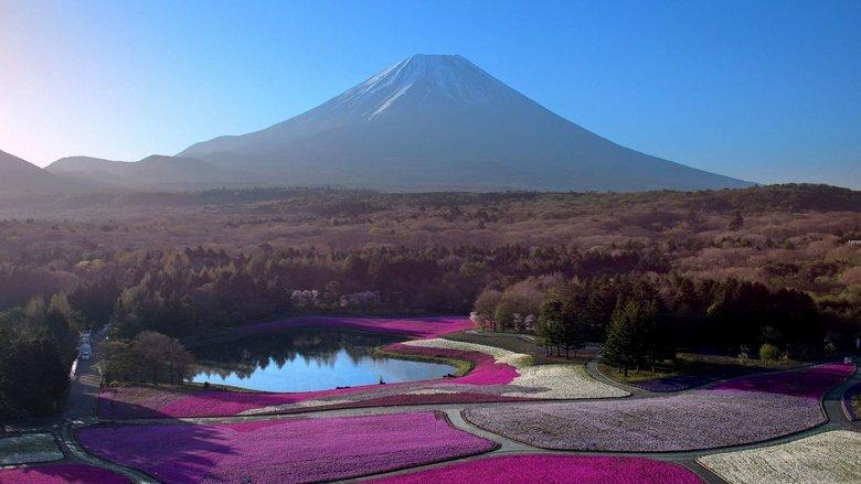 Japon, aux racines du soleil image