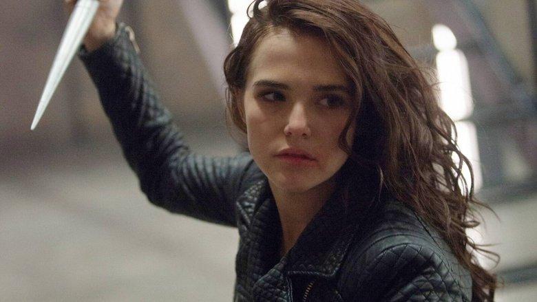 Vampire Academy image