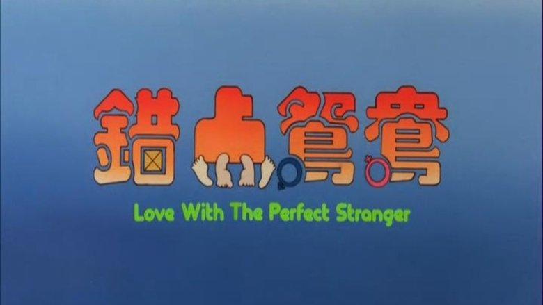 Love with the Perfect Stranger image