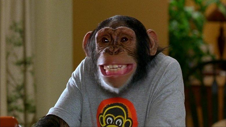 MXP: Most Xtreme Primate image