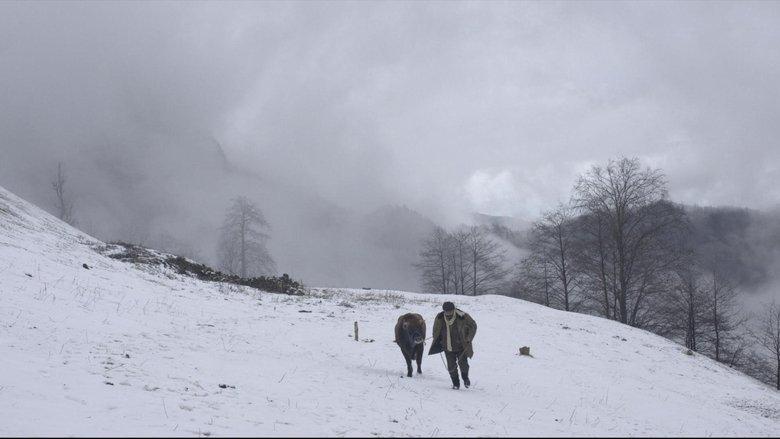 Cold of Kalandar image