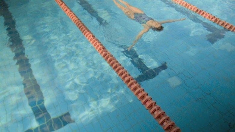 Long Distance Swimmer: Sara Mardini image
