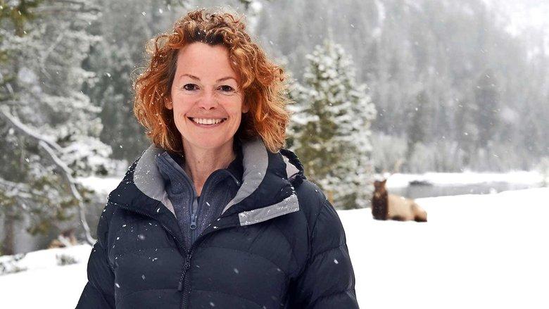 Yellowstone: Wildest Winter to Blazing Summer image