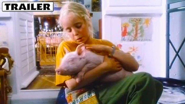 Rudy, the Racing Pig image