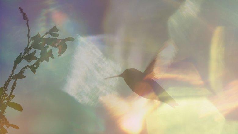 Every Little Thing image