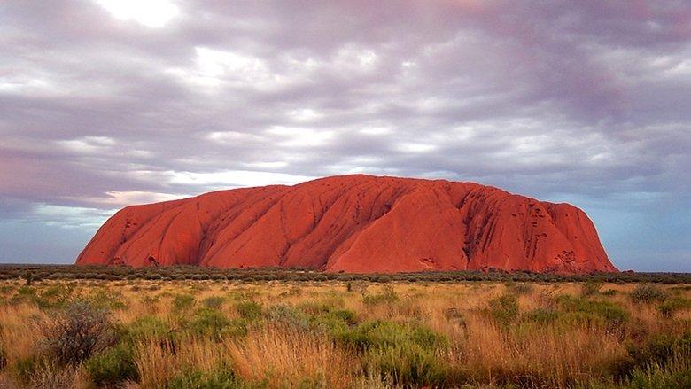 Wild Down Under image