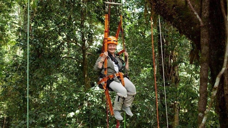 Judi Dench's Wild Borneo Adventure image