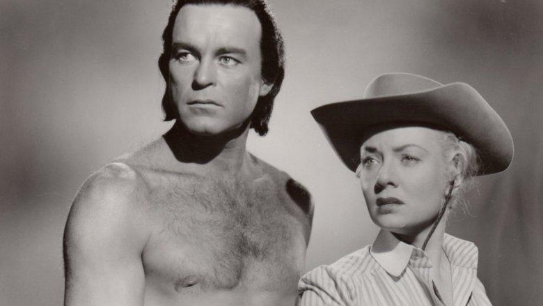 The Vanishing American image