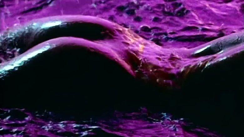 Playboy: Wet & Wild image