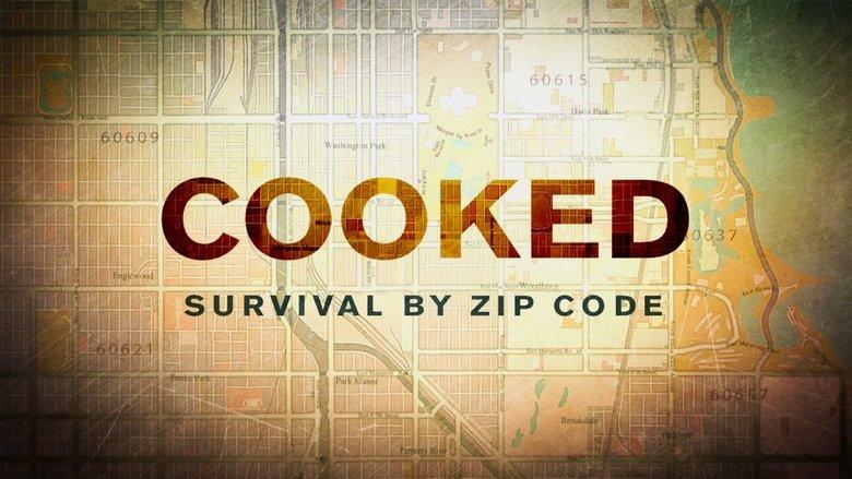 Cooked: Survival by Zip Code image