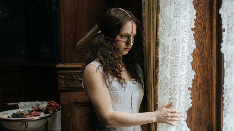 The Ugly Stepsister image