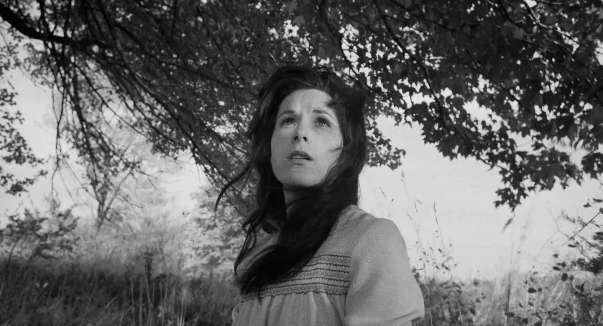 Linda Geiser image