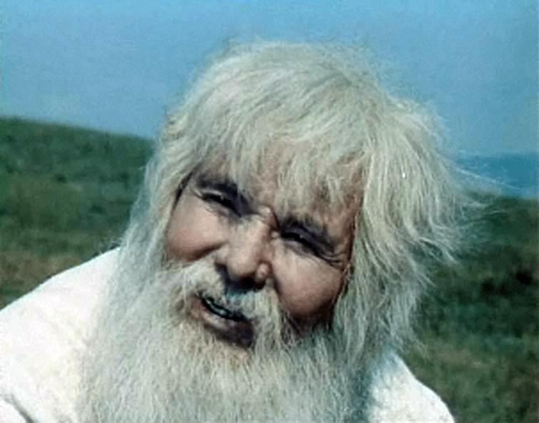Pyotr Kiryutkin image