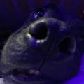 Tyara profile photo