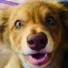 Kodi profile photo