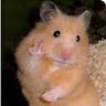 argueta profile photo