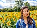 Sharlene Iris profile photo