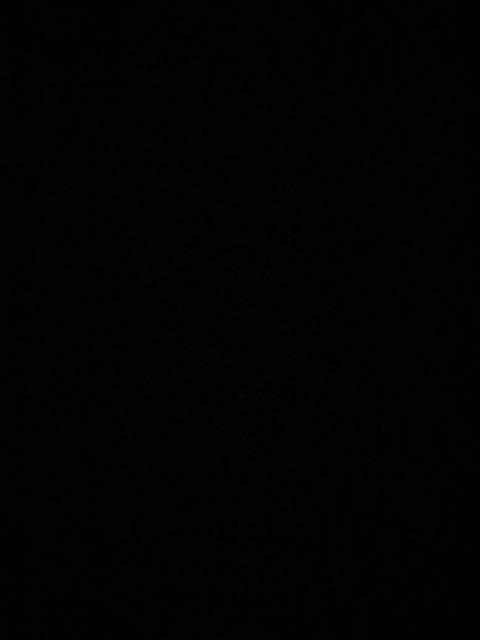 Averi profile photo