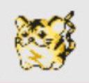 Liv profile photo