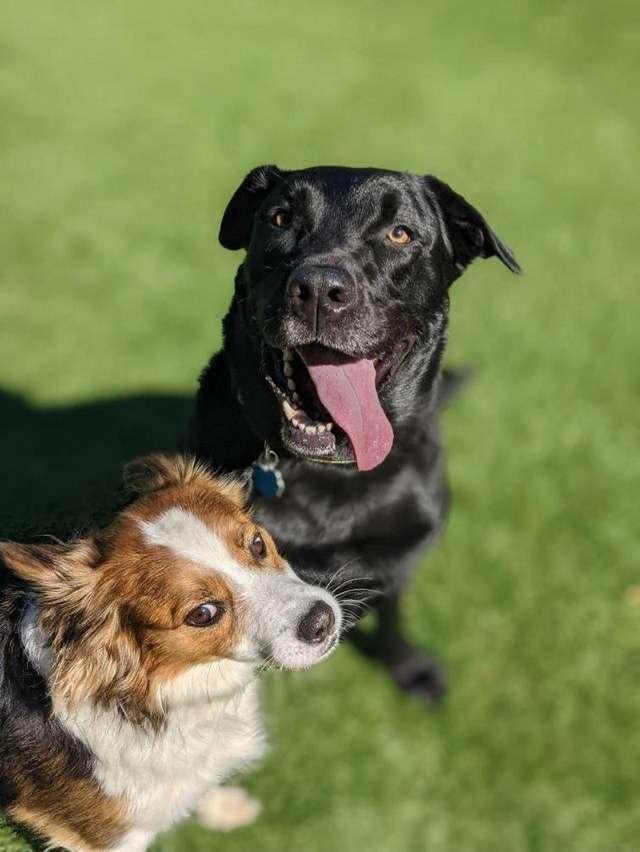 VS profile photo
