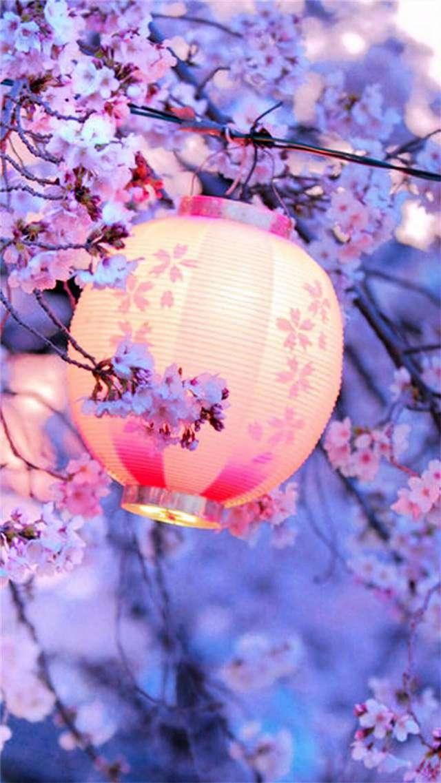 Cherry profile photo