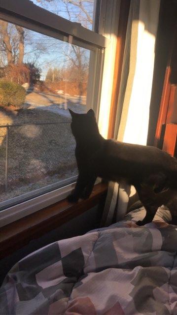 Sophia profile photo