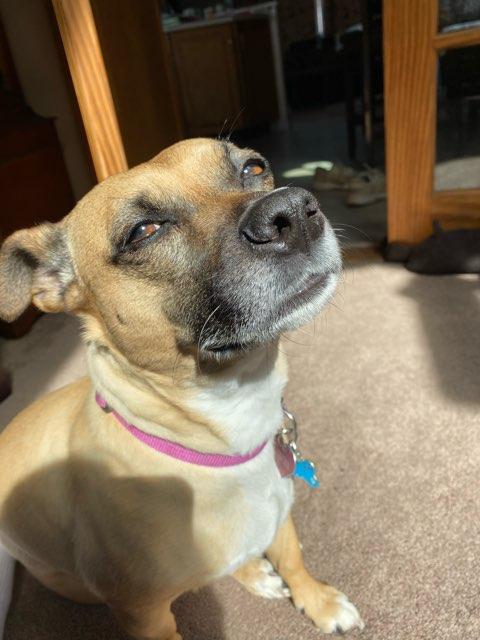 Liana profile photo