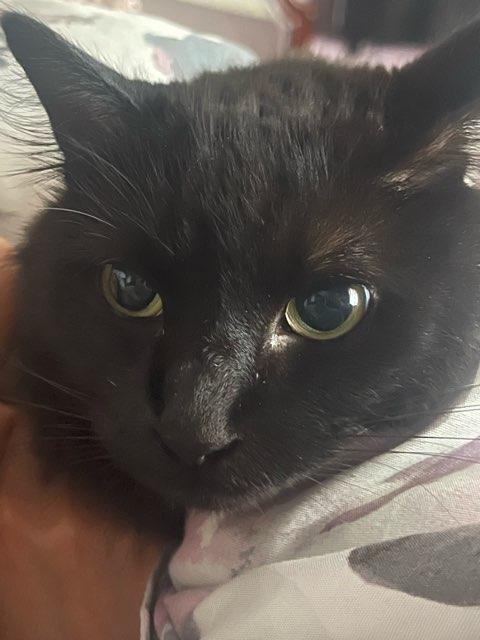 Rin profile photo