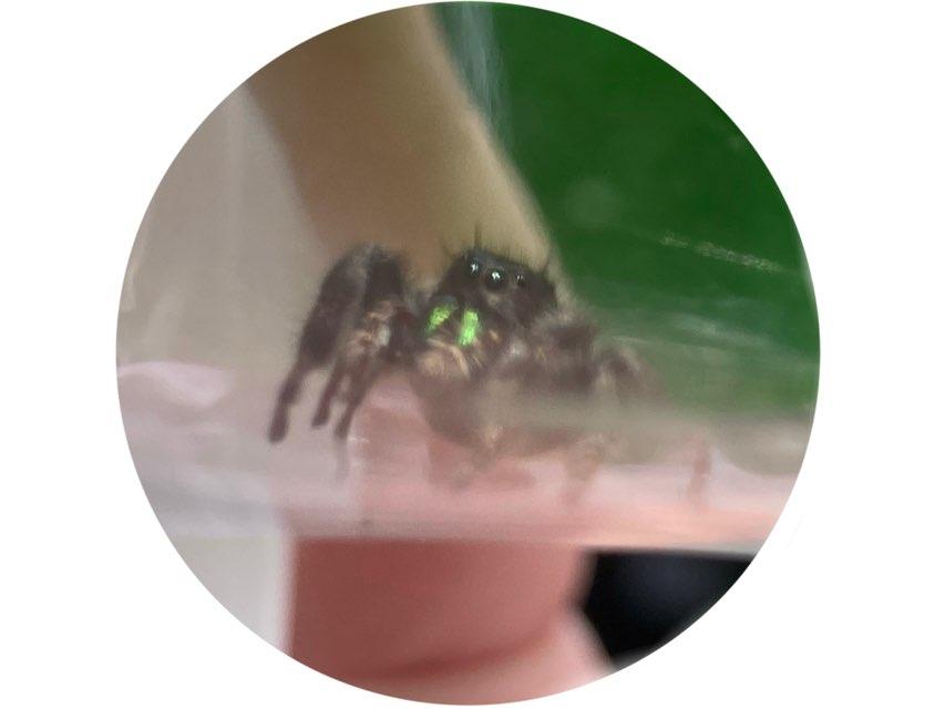 oLos profile photo