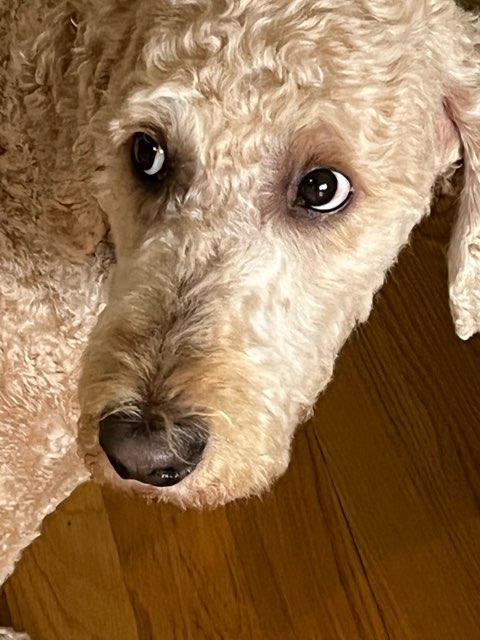 Micah profile photo