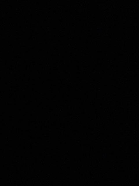 Casey profile photo