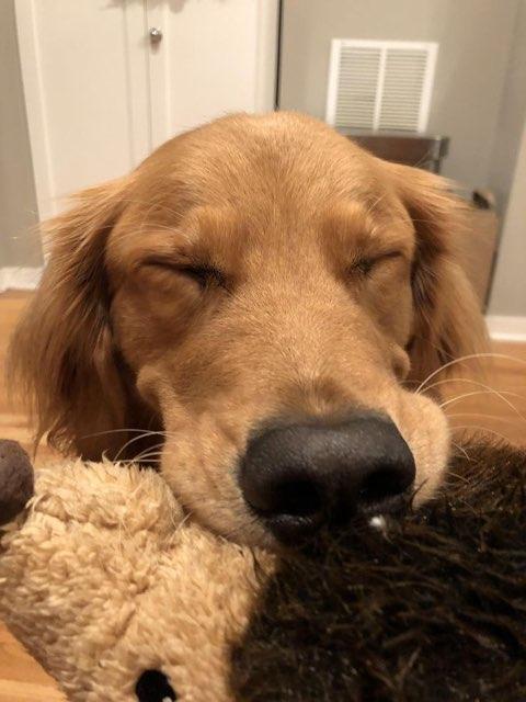 Esme profile photo