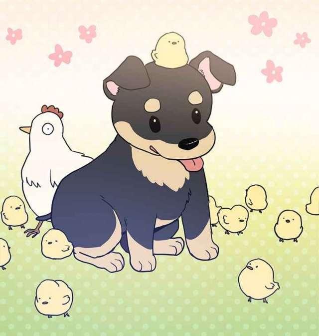 Goose profile photo