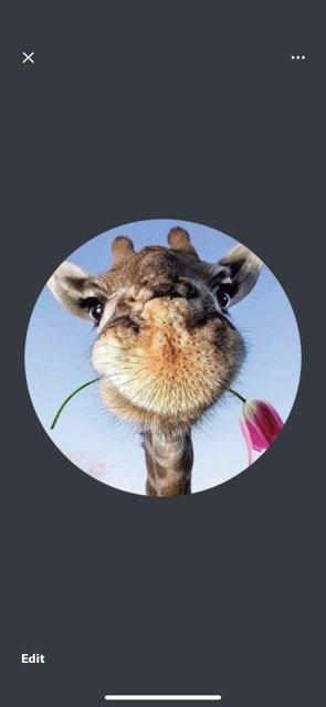 Cheryl profile photo