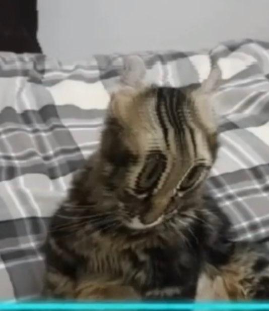 Moze profile photo