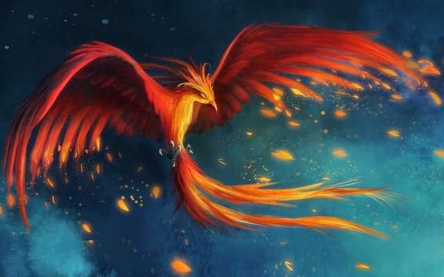 Phoenix profile photo