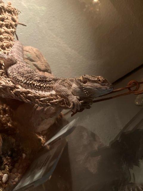Vee profile photo