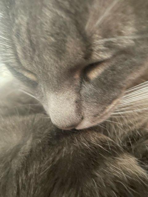 naltered profile photo