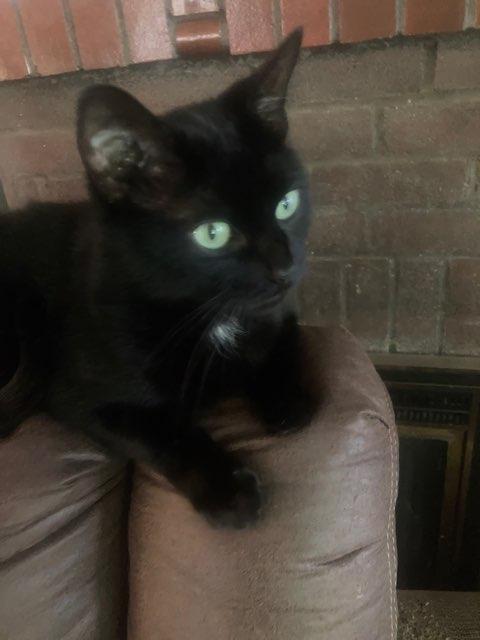 Asherah profile photo