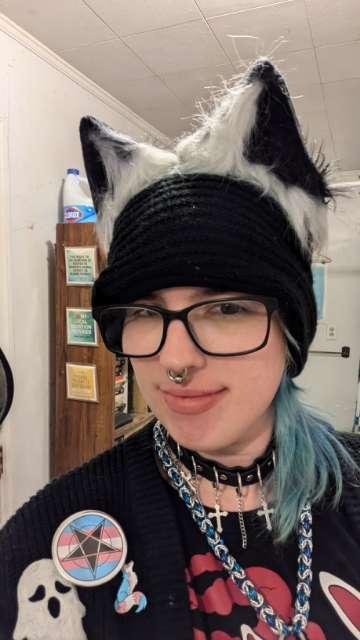 Milo profile photo