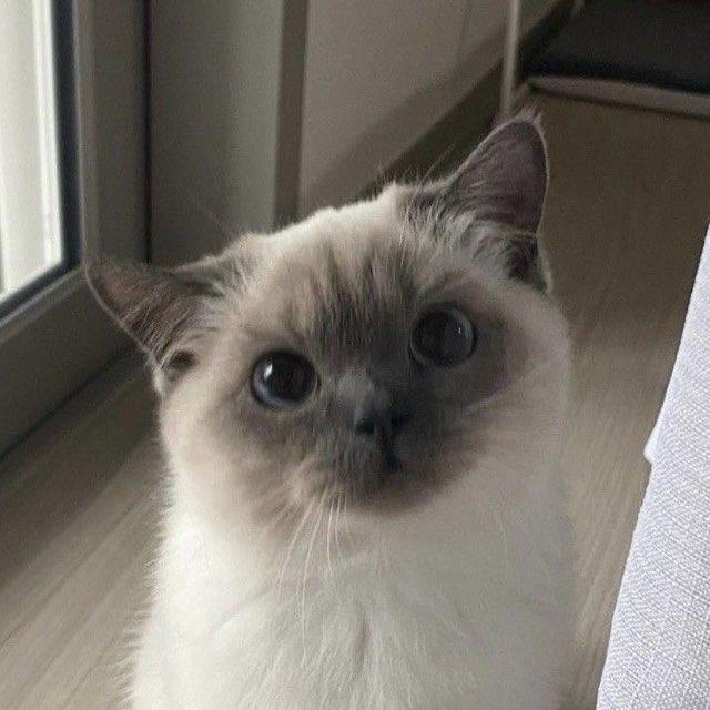 Grace profile photo