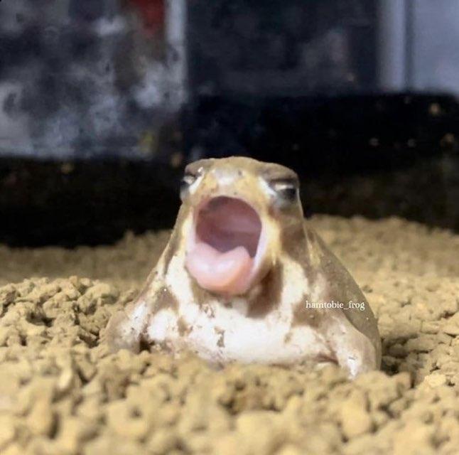 Skyler profile photo