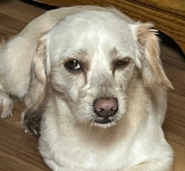 Sam profile photo