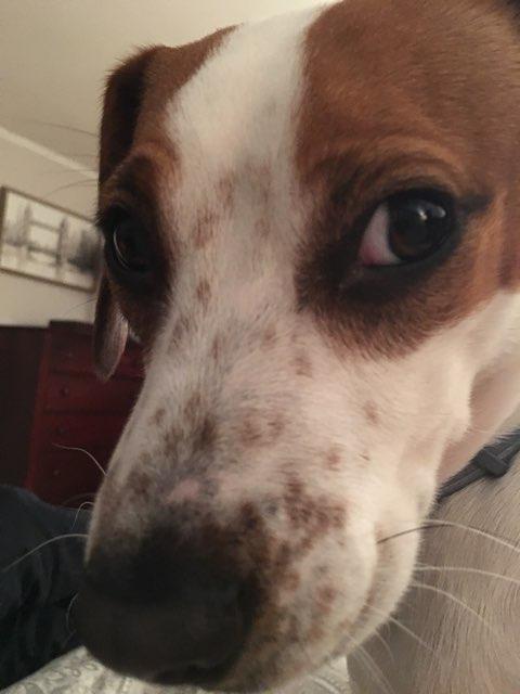 Luke profile photo