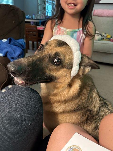 Suri profile photo