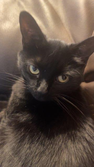 Bree profile photo